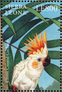 Colnect-2194-133-Yellow-crested-Cockatoo-Cacatua-sulphurea.jpg