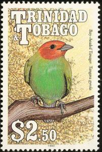 Colnect-744-219-Bay-headed-tanager-Tangara-gyrola.jpg