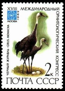 Colnect-943-739-Hooded-crane-Grus-monacha.jpg