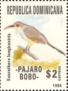 Colnect-3152-322-Hispaniolan-Lizard-cuckoo-Saurothera-longirostris.jpg