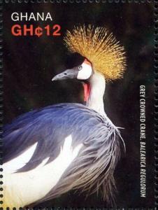 Colnect-3657-445-Grey-Crowned-Crane-Balearica-regulorum.jpg