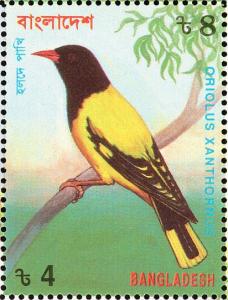 Colnect-1421-750-Black-hooded-Oriole-Oriolus-xanthornus.jpg