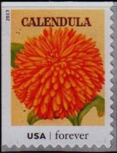 Colnect-1822-277-Seed-Packets-Calendula.jpg