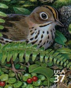 Colnect-202-338-Ovenbird%C2%A0Seiurus-aurocapilla.jpg