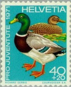 Colnect-140-450-Mallard-Anas-platyrhynchos.jpg