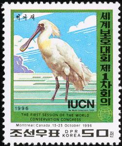 Colnect-2610-144-Black-faced-Spoonbill-Platalea-minor.jpg