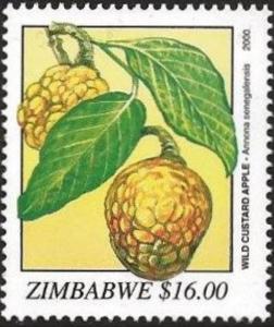 Colnect-5399-461-Wild-Custard-Apple-Annona-senegalensis.jpg