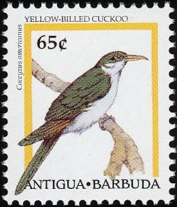 Colnect-1976-285-Yellow-billed-Cuckoo-Coccyzus-americanus.jpg