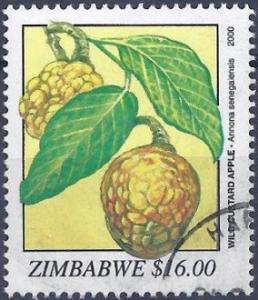 Colnect-4314-072-Wild-Custard-Apple-Annona-senegalensis.jpg