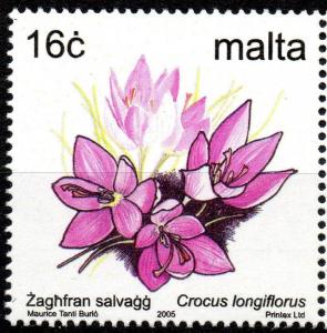 Colnect-657-612-Yellow-throated-crocus---Crocus-longiflorus.jpg