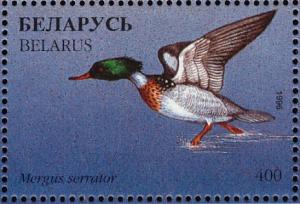 Colnect-1047-767-Red-breasted-Merganser-Mergus-serrator.jpg