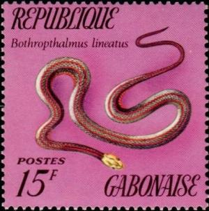 Colnect-1051-052-Red-Black-Striped-Snake-Bothrophthalmus-lineatus.jpg