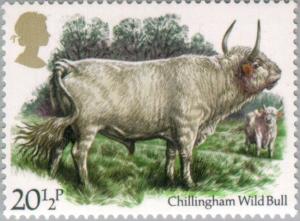 Colnect-122-350-Chillingham-Wild-Bull-Bos%C2%A0primigenius-taurus.jpg