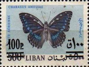 Colnect-1381-161-Blue-spotted-Charaxes-Charaxes-ameliae.jpg