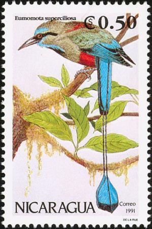 Colnect-1393-421-Turquoise-browed-Motmot-Eumomota-supercilliosa.jpg