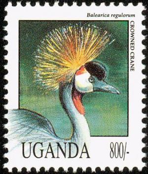 Colnect-1409-312-Grey-Crowned-Crane-Balearica-regulorum.jpg