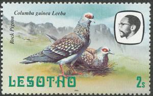 Colnect-1436-330-Speckled-Pigeon-Columba-guinea.jpg