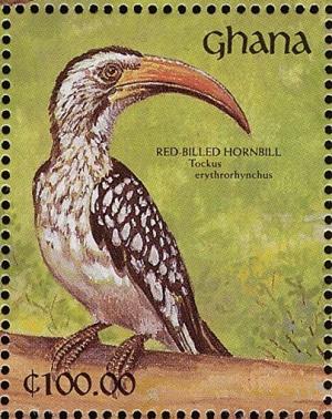 Colnect-1459-799-Northern-Red-billed-Hornbill-Tockus-erythrorhynchus.jpg