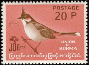 Colnect-1503-849-Red-whiskered-Bulbul%C2%A0Pycnonotus-jocosus.jpg