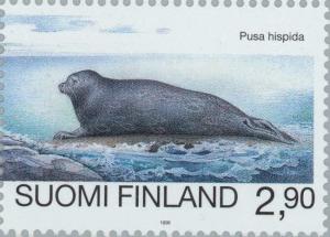 Colnect-160-297-Ringed-Seal-Phoca-hispida.jpg