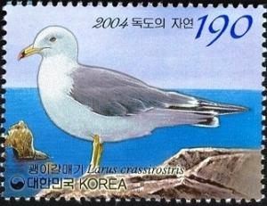 Colnect-1605-217-Black-tailed-gull-Larus-crassirostris.jpg