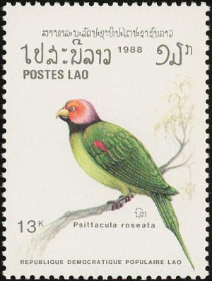 Colnect-1614-672-Blossom-headed-Parakeet-Psittacula-roseata.jpg