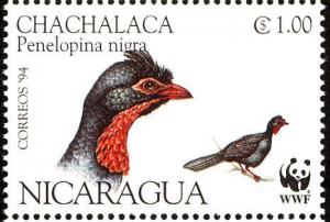 Colnect-1626-029-Highland-Guan-Penelopina-nigra.jpg