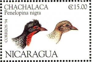 Colnect-1626-034-Highland-Guan-Penelopina-nigra.jpg