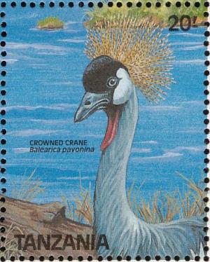 Colnect-1745-651-Grey-Crowned-Crane-Balearica-pavonina.jpg