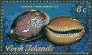 Colnect-1973-953-Serpent--s-head-Cowry-Cyprae-caputserpentis.jpg