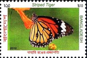 Colnect-2233-188-Striped-Tiger-Danaus-genutia.jpg