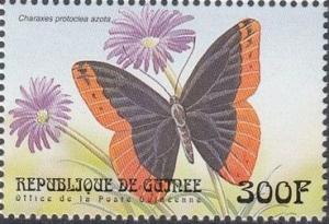 Colnect-2242-033-Flame-bordered-Emperor-Charaxes-protoclea.jpg