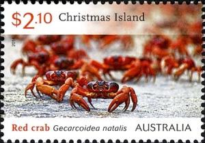 Colnect-2257-474-Christmas-Island-Red-Crab-Gecarcoidea-natalis.jpg