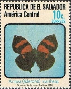 Colnect-2271-736-Brush-footed-Butterfly-Anaea-marthesia.jpg