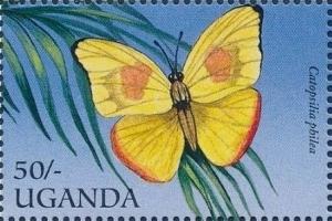 Colnect-2278-238-Orange-barred-Sulphur-Catopsilia-philea.jpg