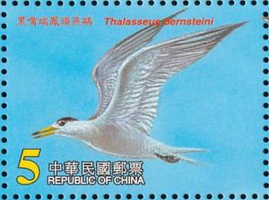 Colnect-2514-562-Chinese-Crested-Tern%C2%A0Thalasseus-bernsteini.jpg