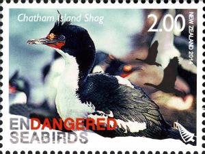 Colnect-2618-765-Chatham-Island-Shag-Phalacrocorax-onslowi.jpg