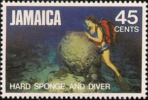 Colnect-2657-662-Hard-Sponge-and-Diver.jpg