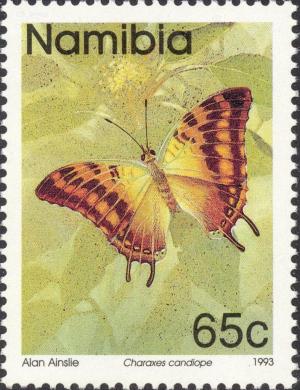 Colnect-2726-286-Green-veined-Emperor-Charaxes-candiope.jpg