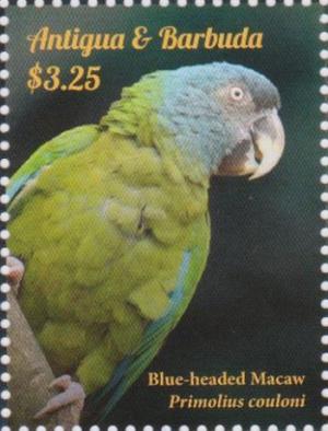 Colnect-2977-550-Blue-headed-Macaw-Primolius-couloni.jpg