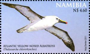 Colnect-3063-958-Atlantic-Yellow-nosed-Albatross-Diomedea-chlororhynchos.jpg