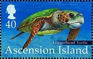 Colnect-3383-830-Loggerhead-Turtle-Caretta-caretta.jpg