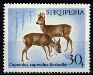 Colnect-3626-275-Roebuck-and-Doe-Capreolus-capreolus.jpg