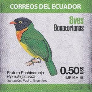 Colnect-3781-518-Orange-breasted-Fruiteater-Pipreola-jucunda.jpg