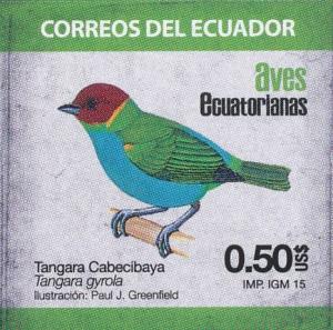 Colnect-3781-528-Bay-headed-Tanager-Tangara-gyrola.jpg