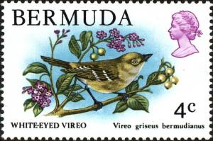 Colnect-3909-268-Bermuda-White-eyed-Vireo-Vireo-griseus-bermudianus.jpg