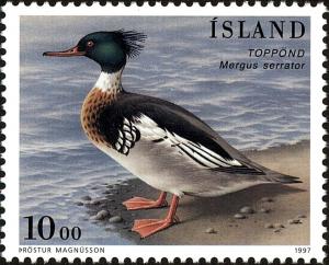 Colnect-3949-872-Red-breasted-Merganser-Mergus-serrator.jpg