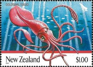 Colnect-4014-198-Colossal-Squid-Mesonychoteuthis-hamiltoni-.jpg