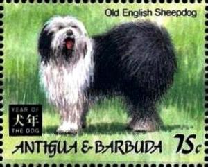 Colnect-4112-745-Old-English-sheepdog.jpg