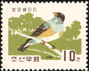 Colnect-4178-696-Brown-headed-Thrush-Turdus-chrysolaus.jpg